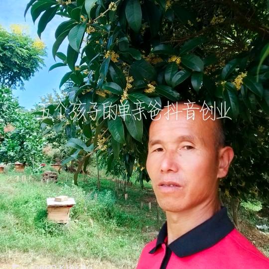 荣华富贵(永新正宗土蜂蜜不定时开播)