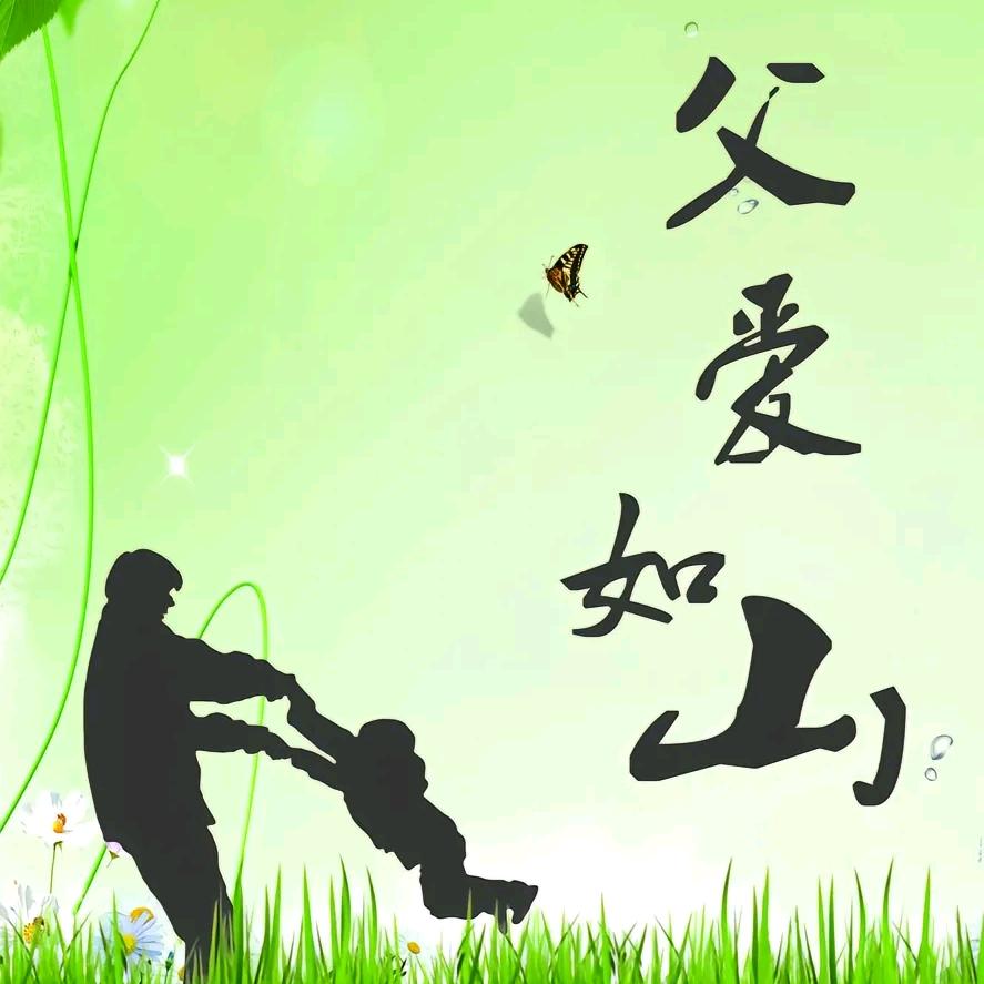 王善宝