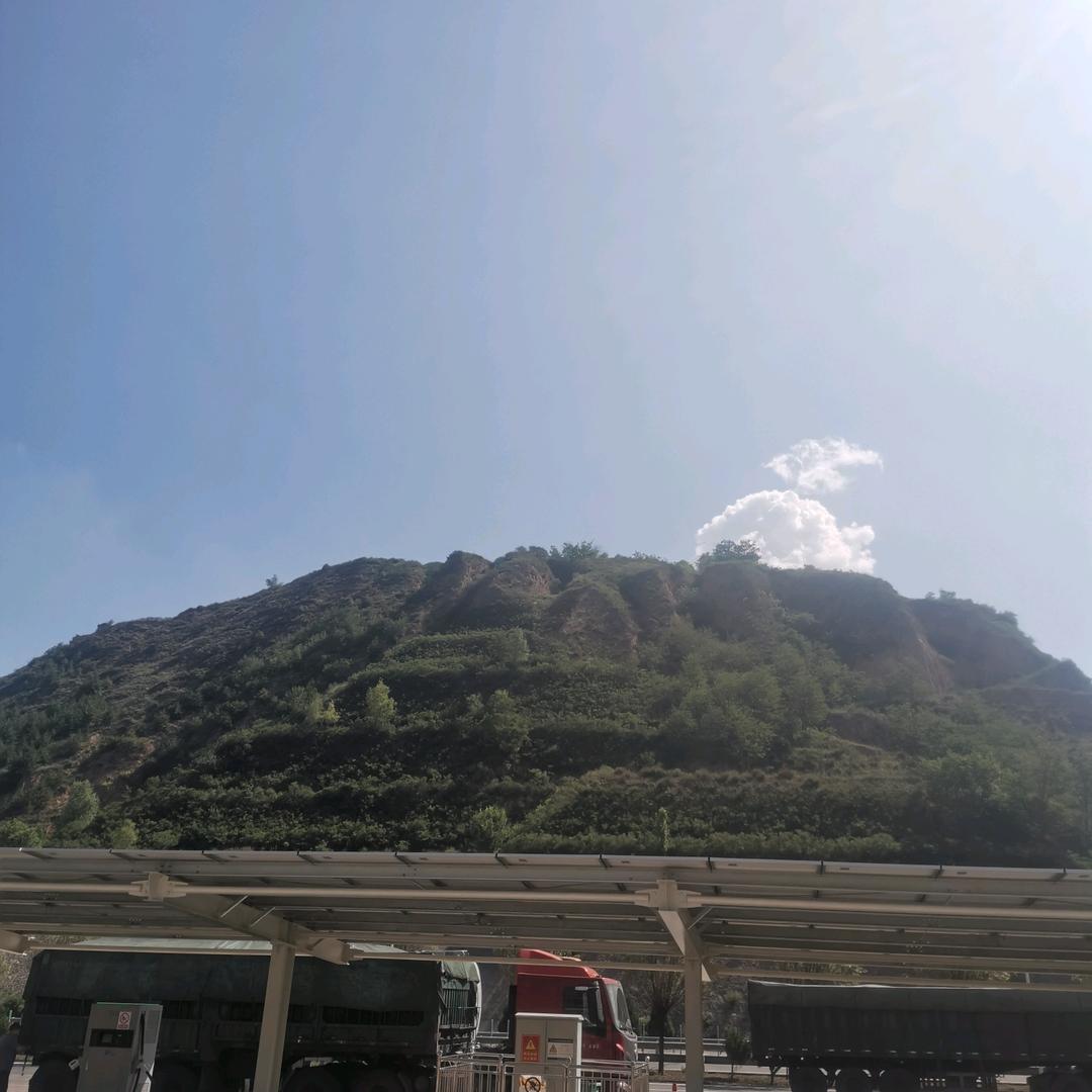 坦坦荡荡活人间