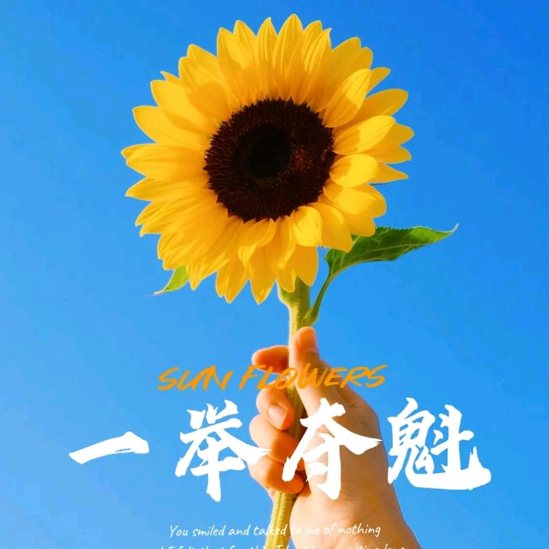 艺竹