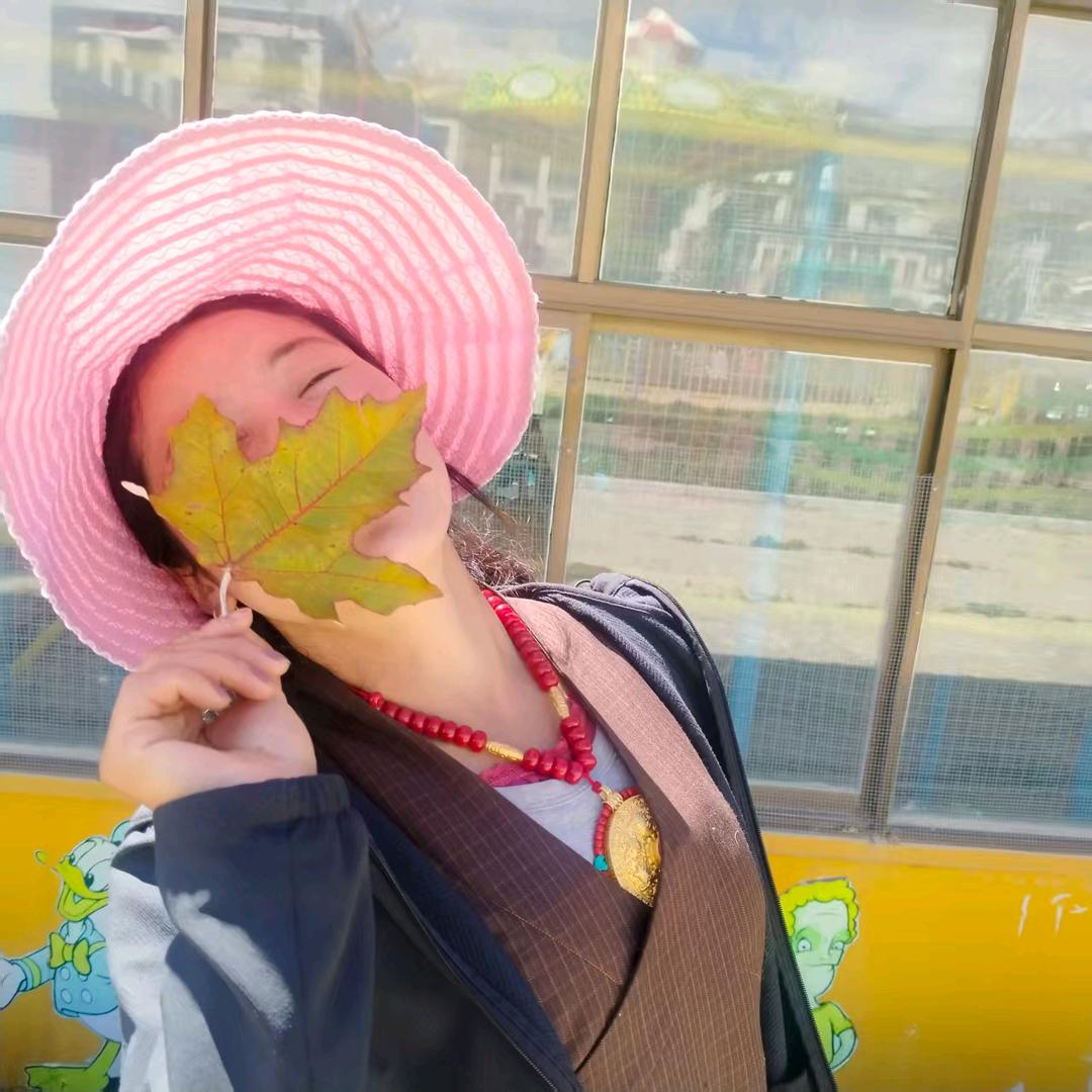 高原桑木旦