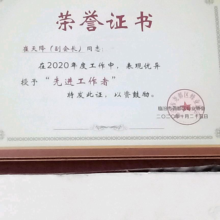 梦游之中苏醒东方