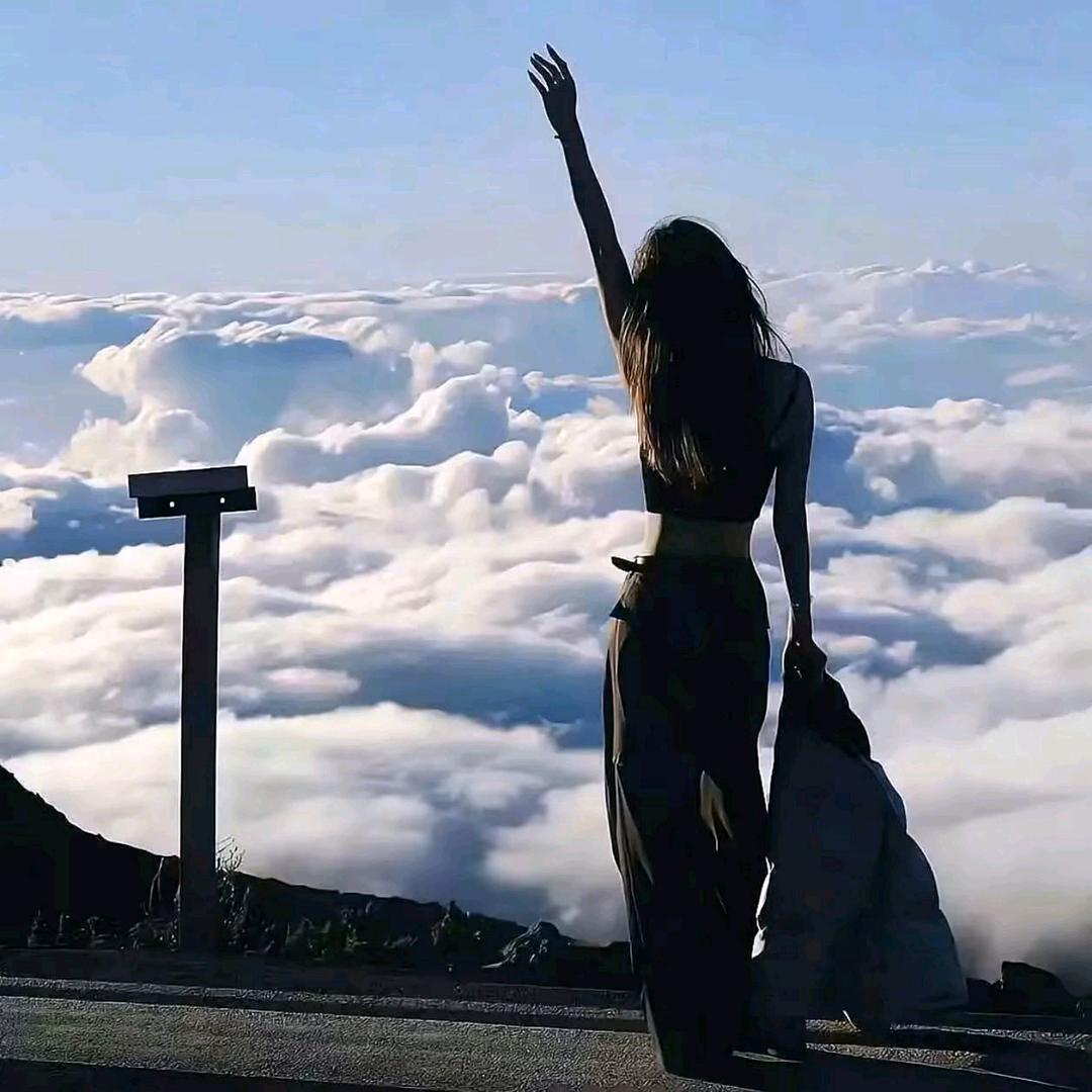 向晚风诉爱