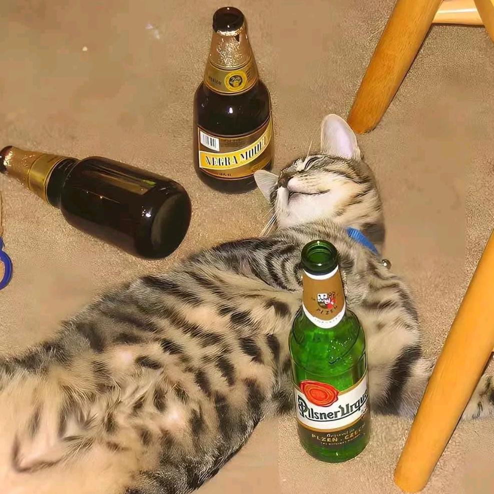笨死了