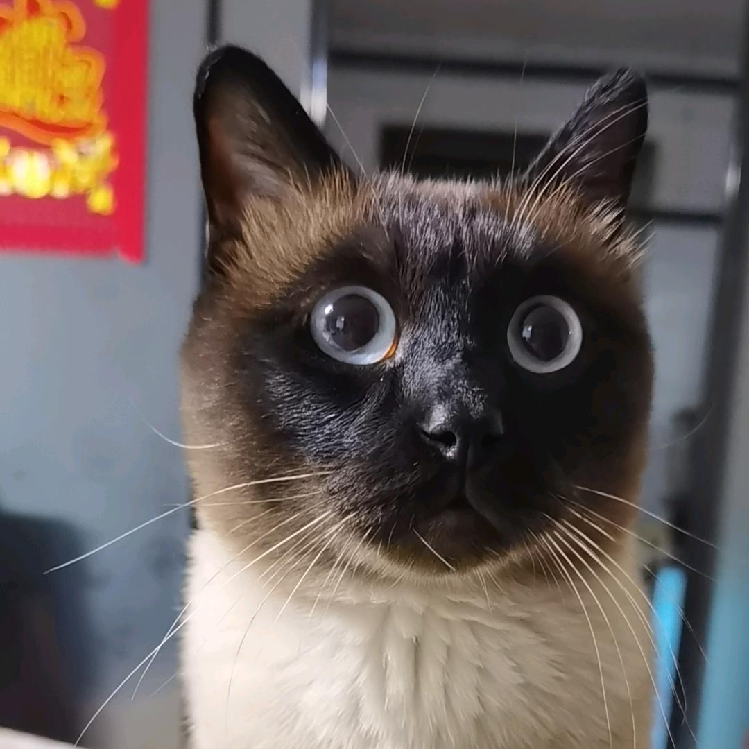 (≧∇≦)/