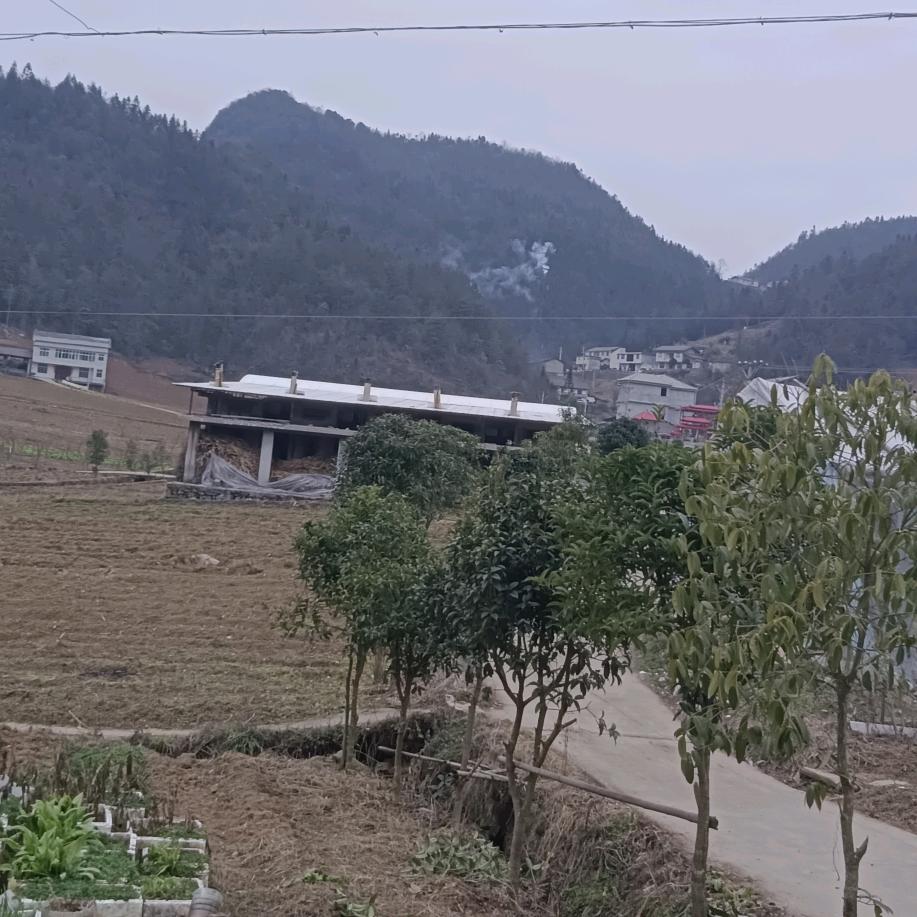 山顶的风