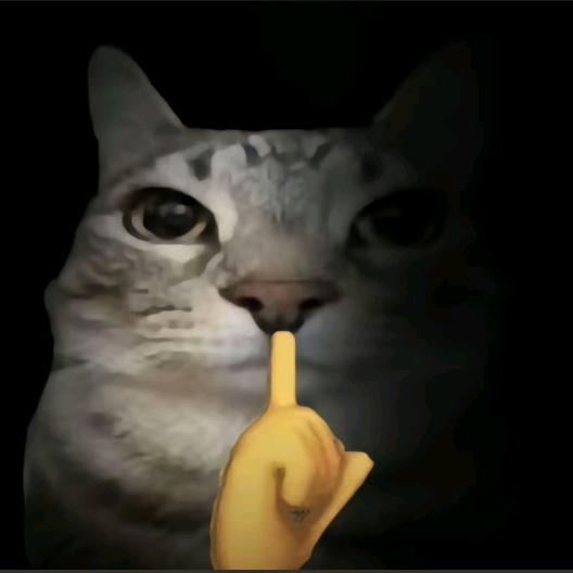 过猫猫就到此为止吧