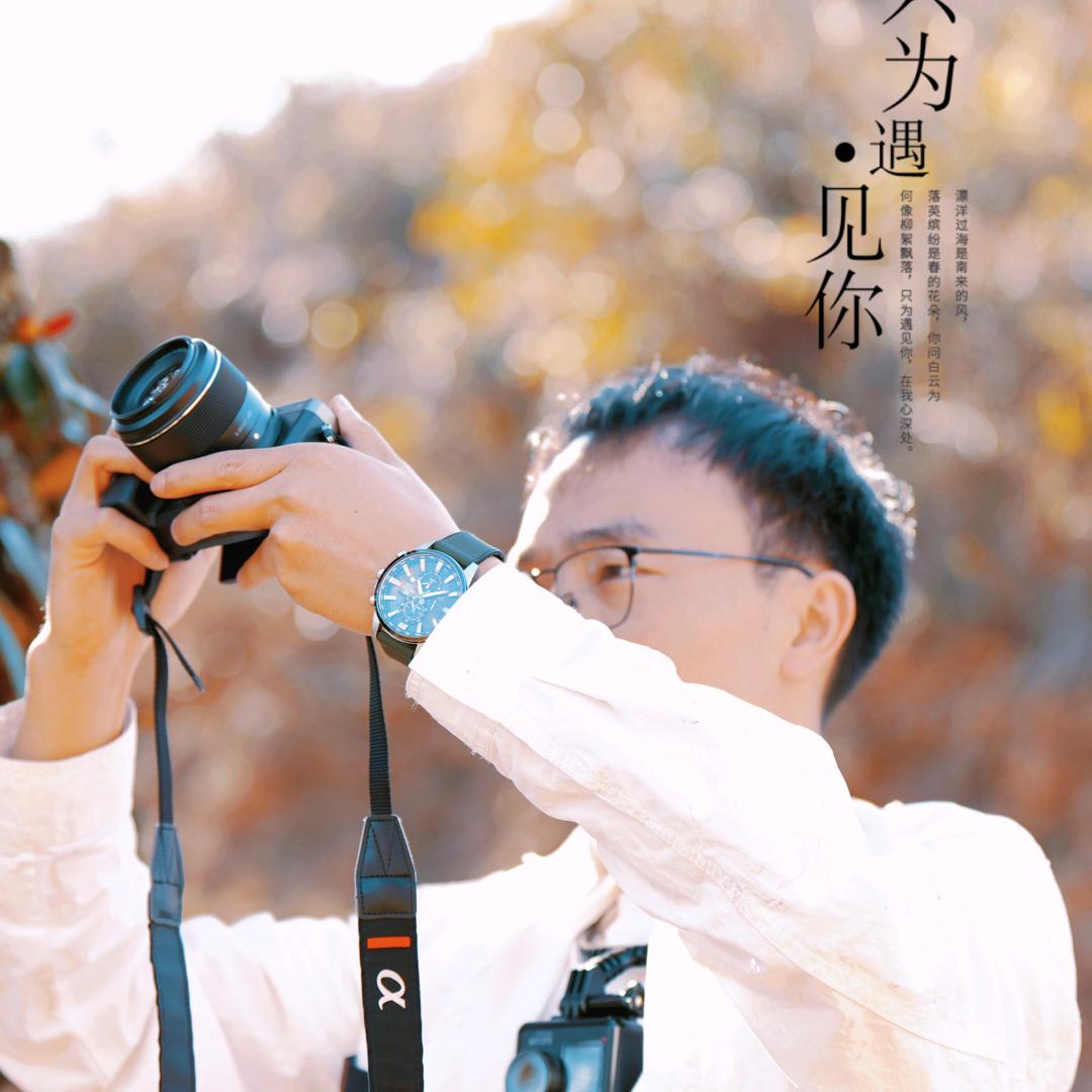 『红 猪 + Ζ』