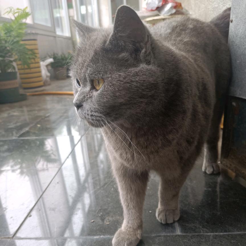 🥀ℒᎭℯ翔宝ꦿ҉᭄࿚ནོ⁵²⁰