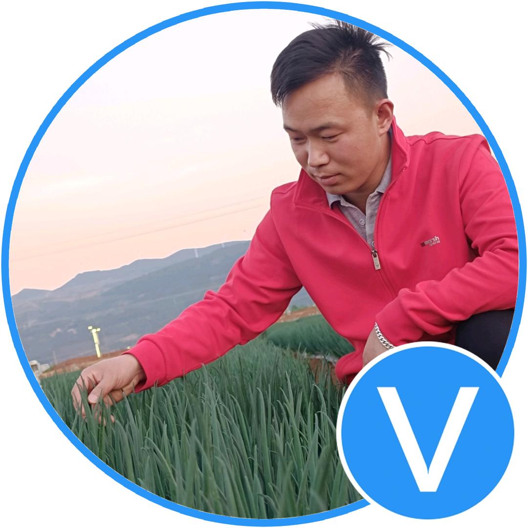 懂香葱的卢师·精靓农博士