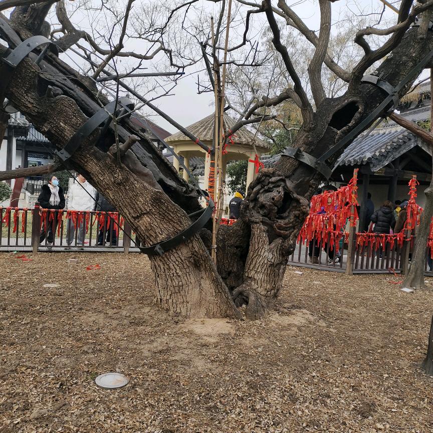 冷暖自知