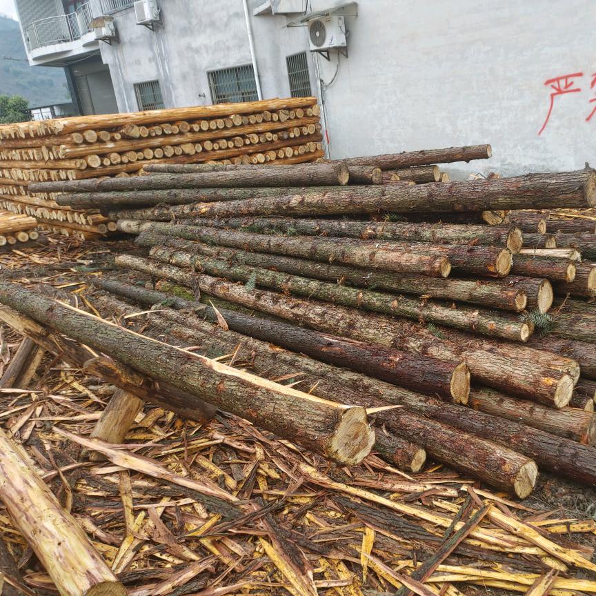 收售(杉木，柳沙，寿木)