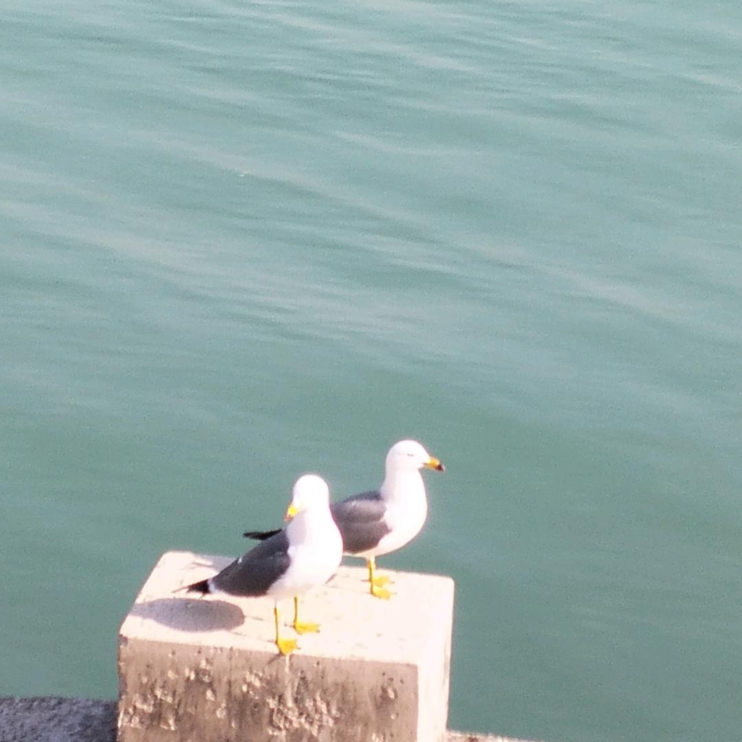 旅途