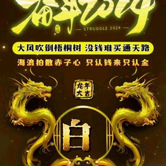 老白养羊🐏