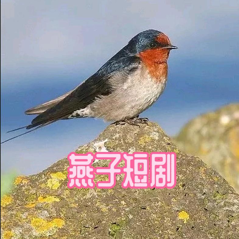 燕子短剧