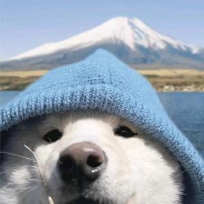 犟油精