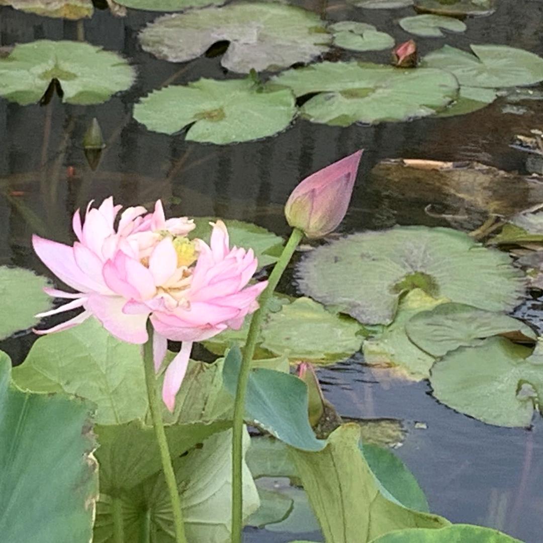 沂汶