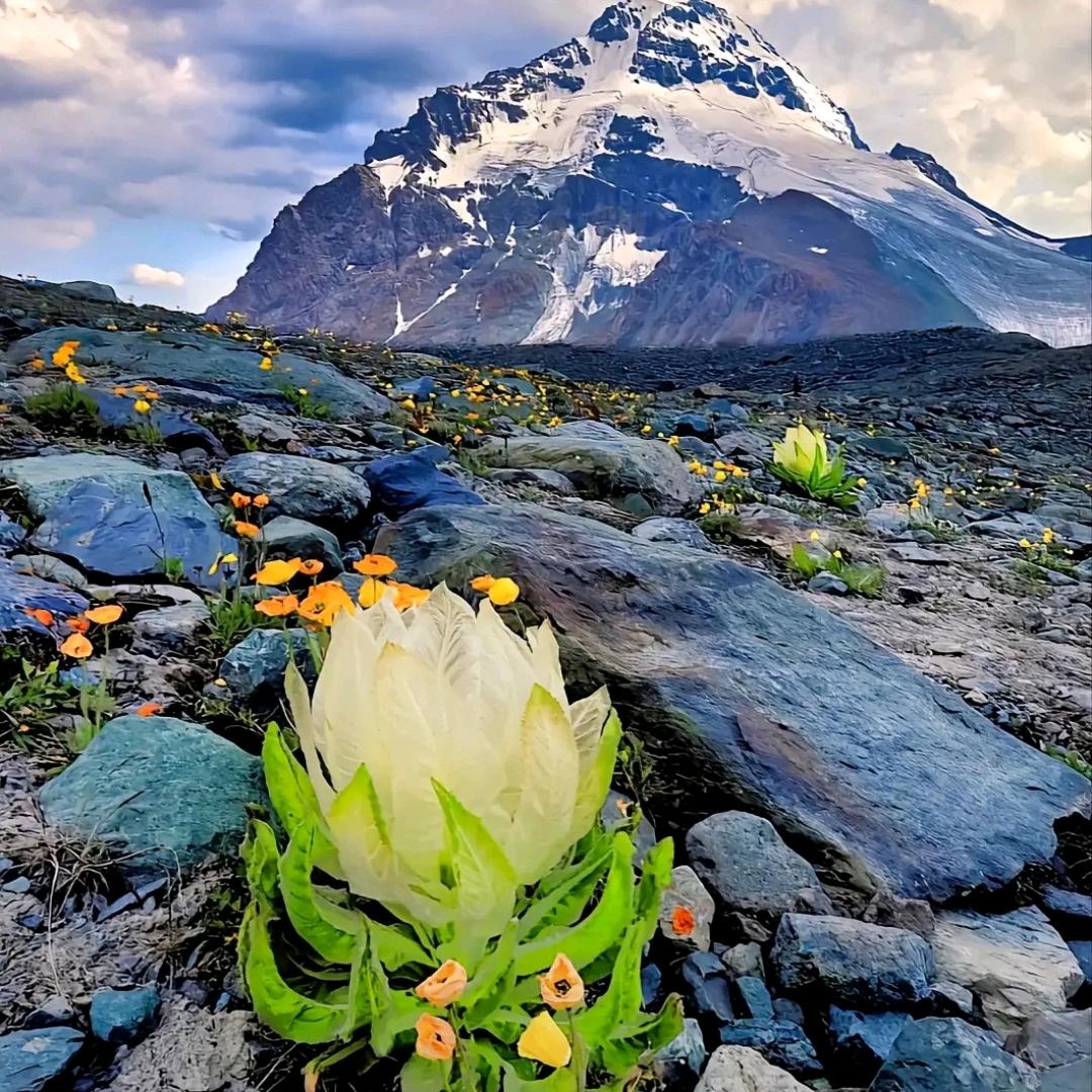 遂平乐美   美肤 瘦身