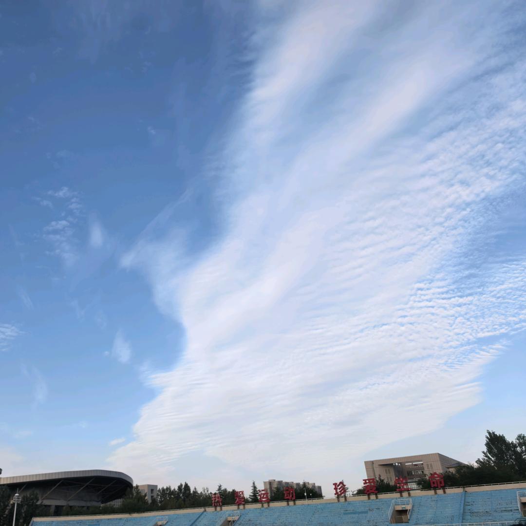 治肆