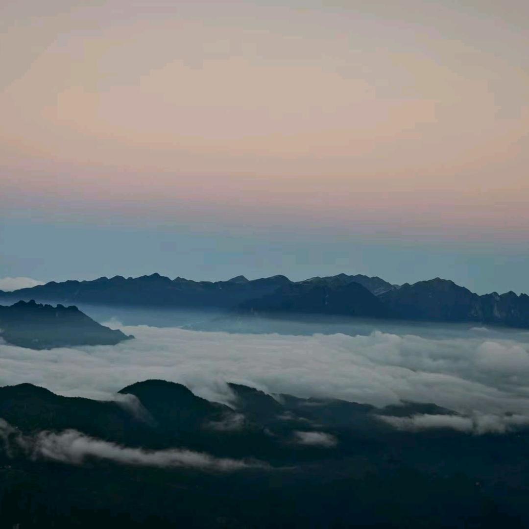 阳光的温柔