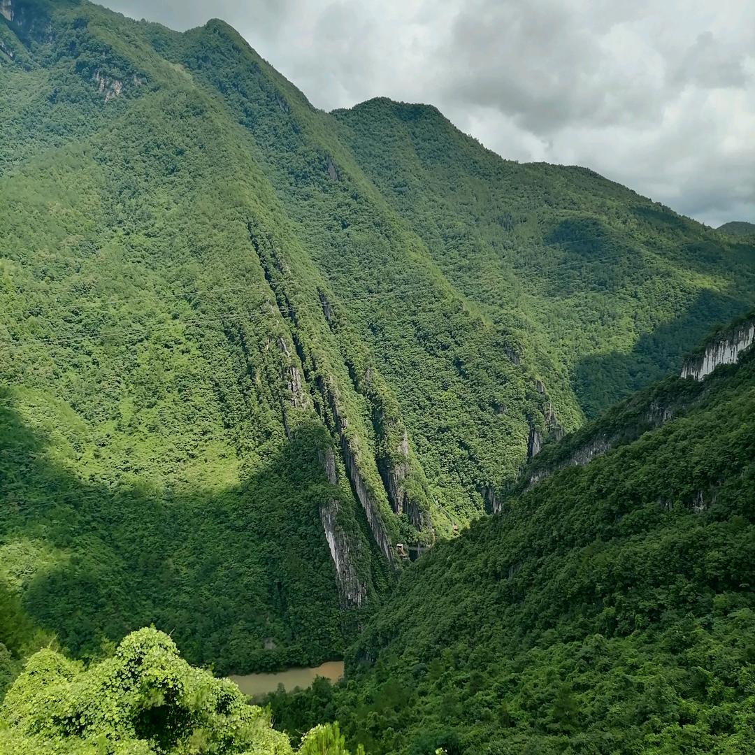 @任哥