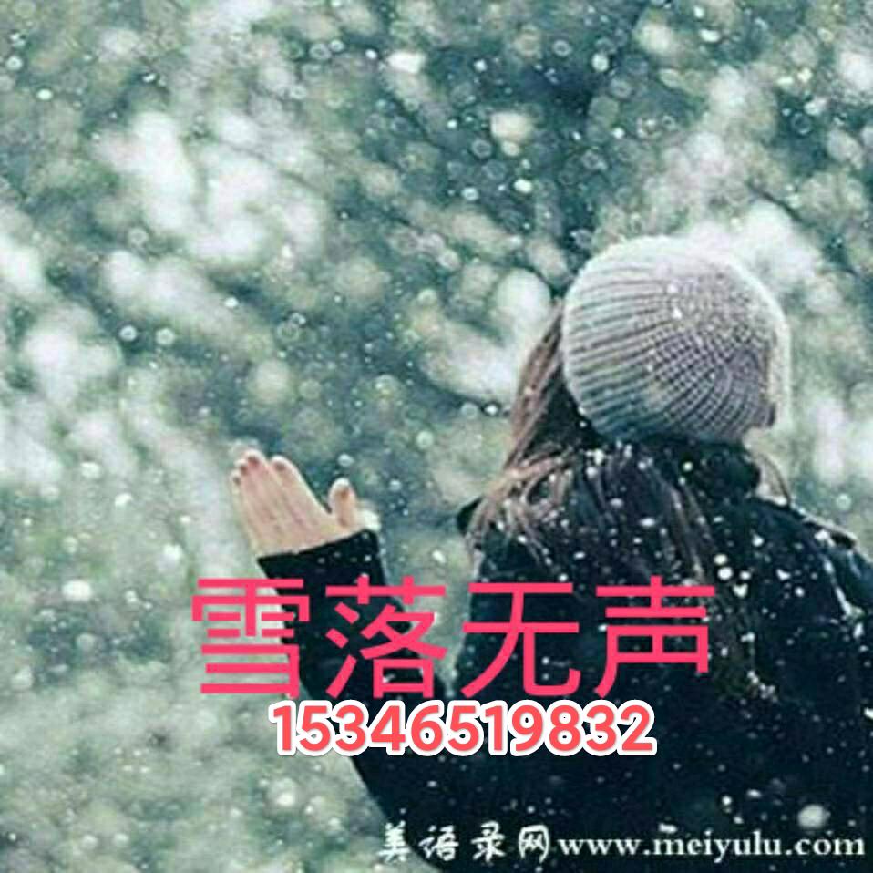 雪落无声。