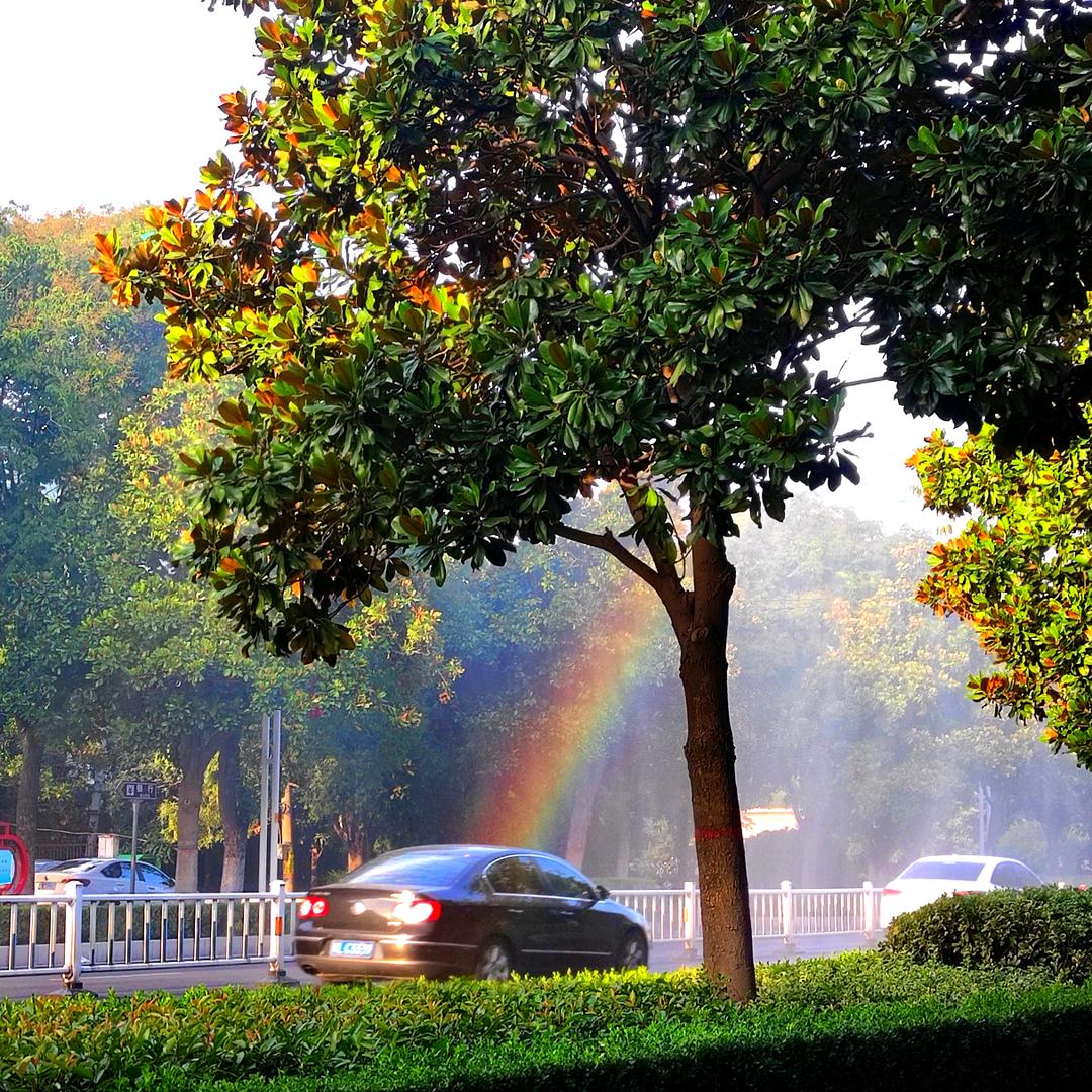 零食卖不下去了，打算搞直播了