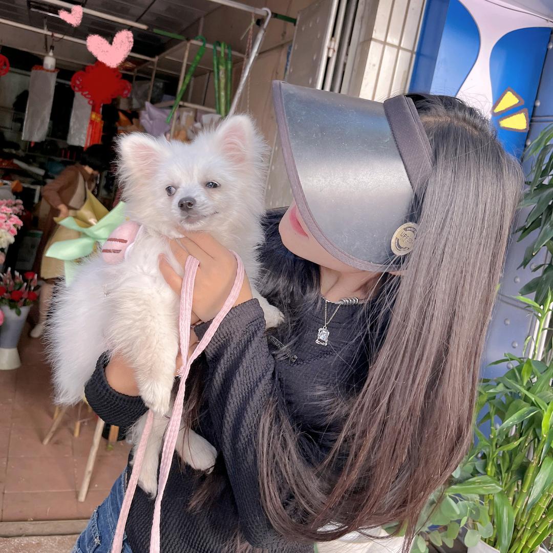 🎀啊甜