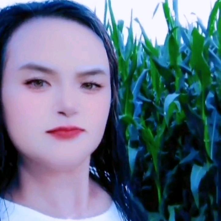 用户710346刘玉霞