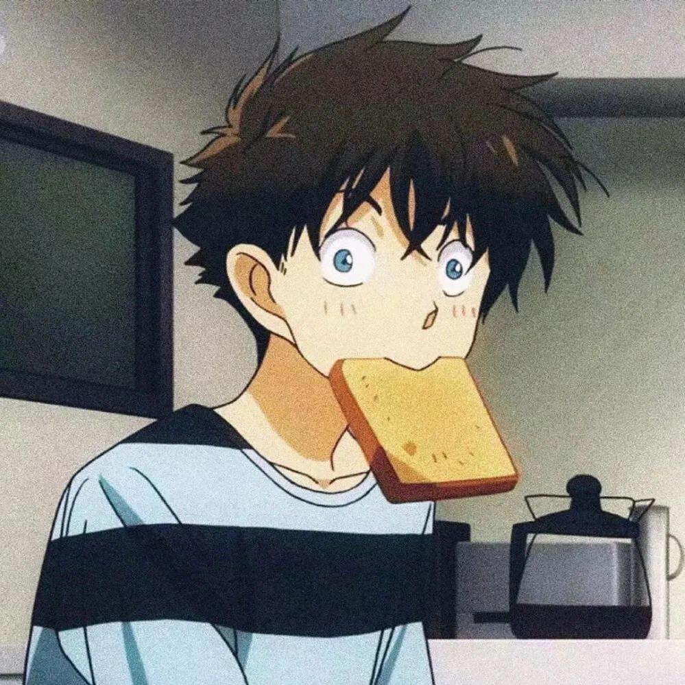 北极抹布