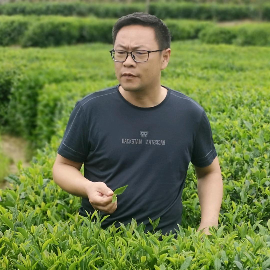 万家茶庄臻选