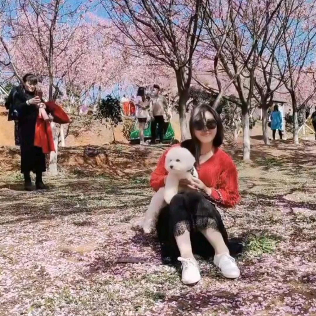 女汉子单身🐶💪🍎🍎🍎🍎