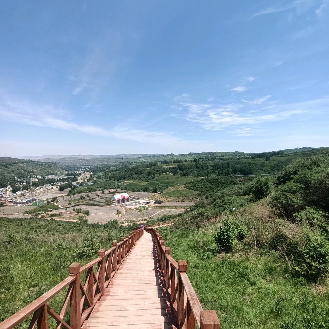 ？？？？？？？？