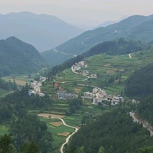 靖哥剪影