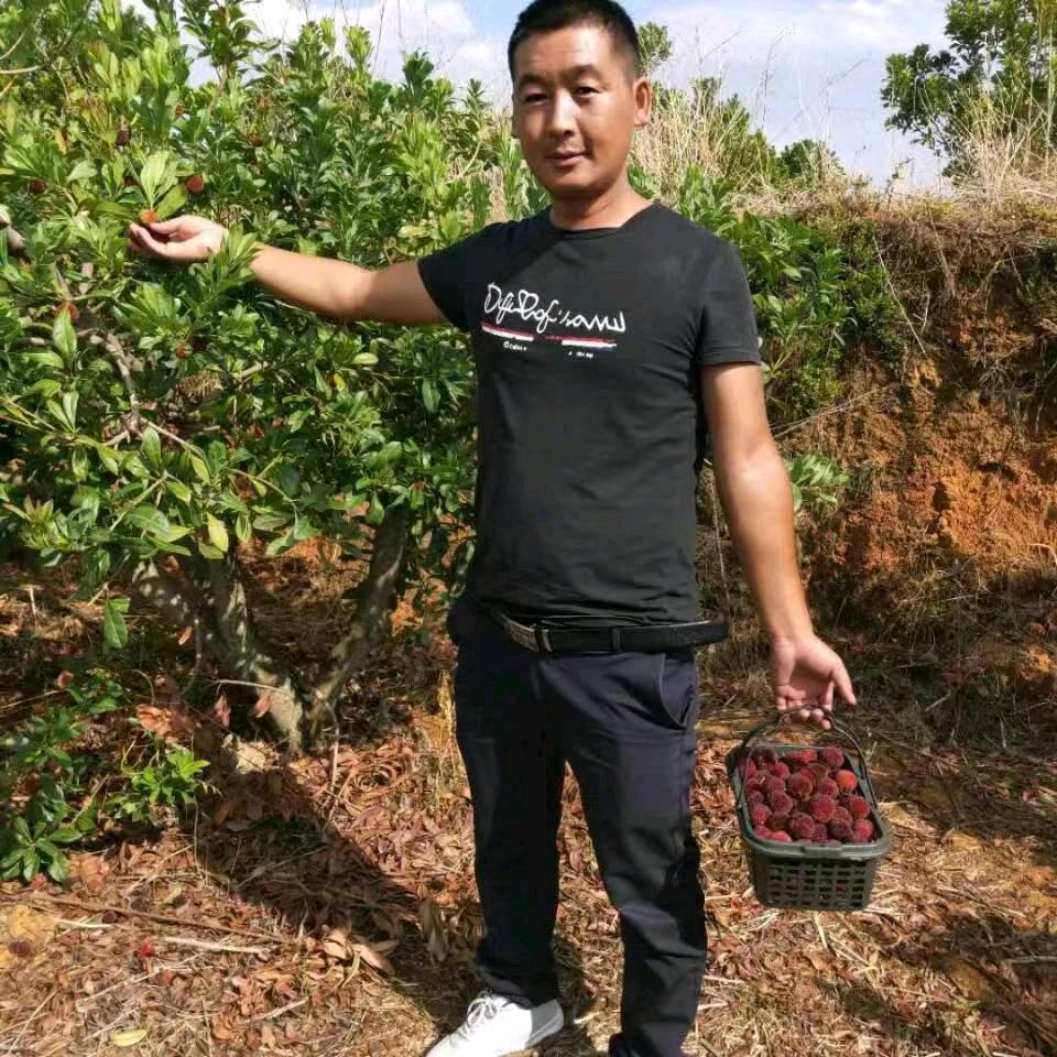 岳兴照