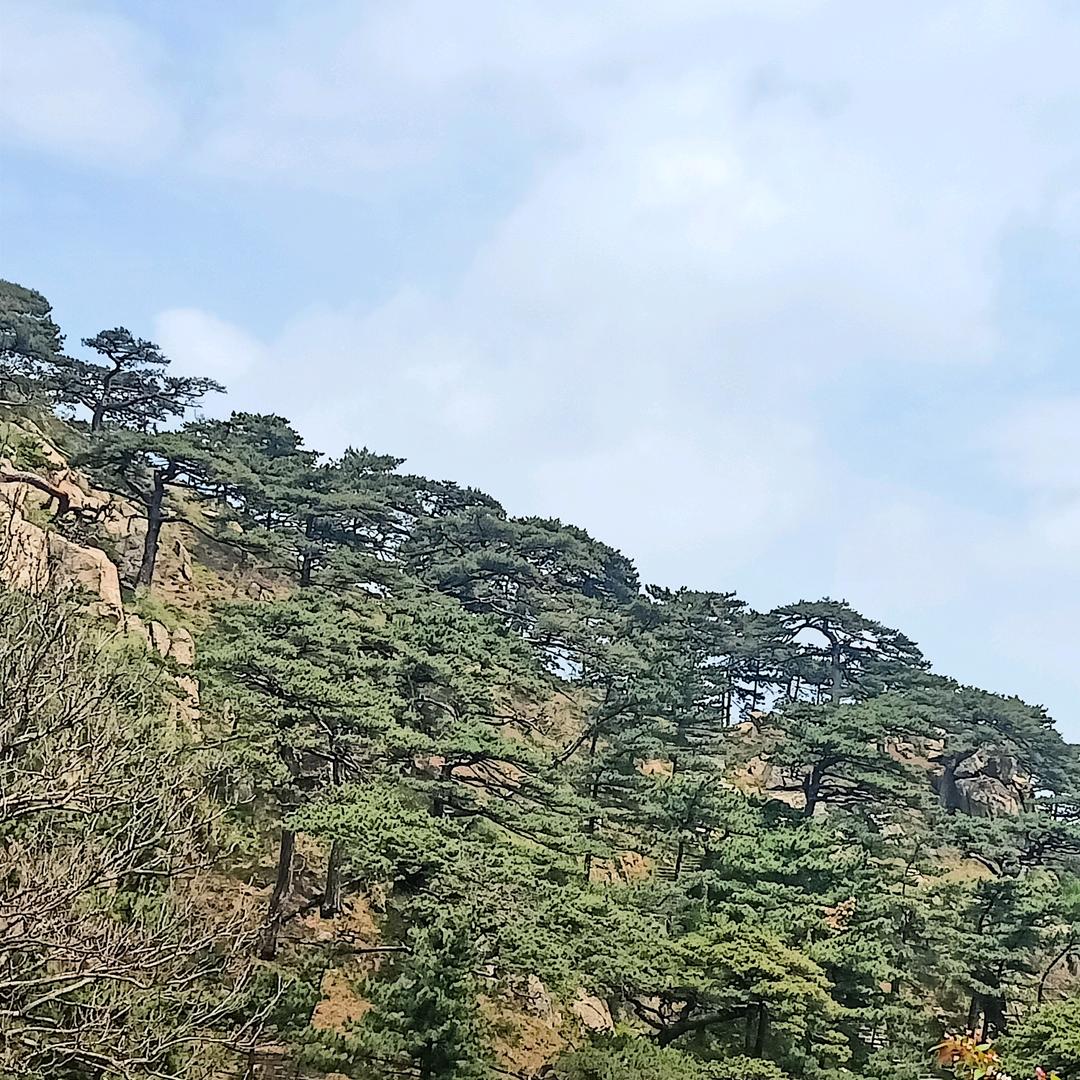 静心
