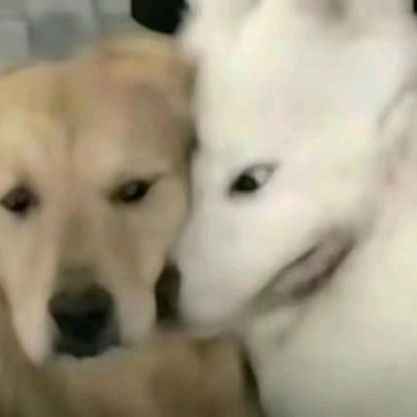 好看吗