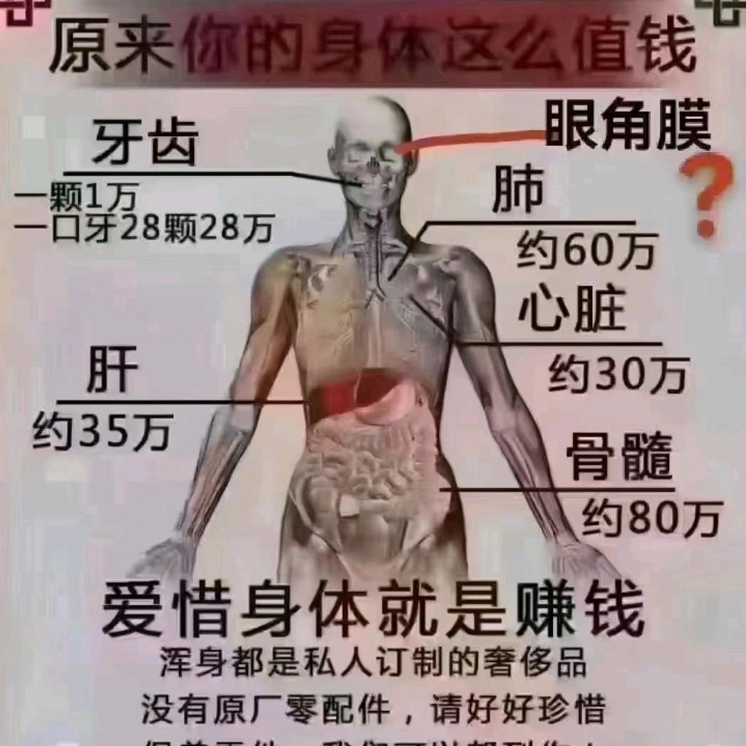 清调排补