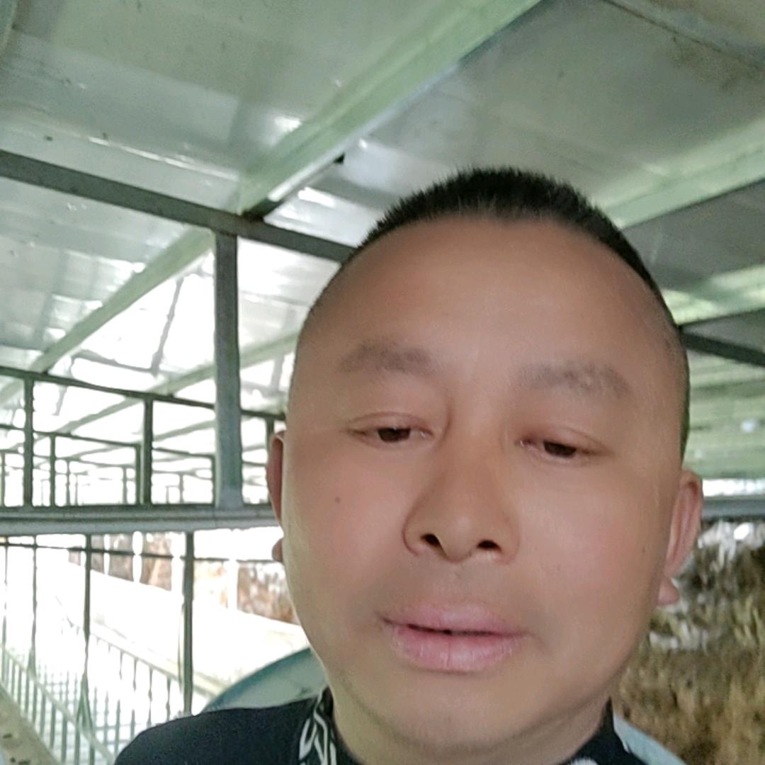 在农村（养牛人泉哥）