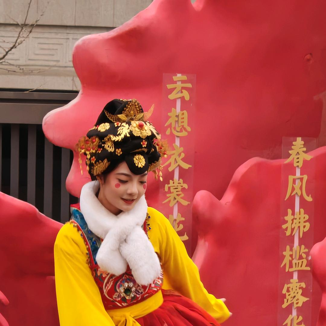 我的意中人是个盖世大美女