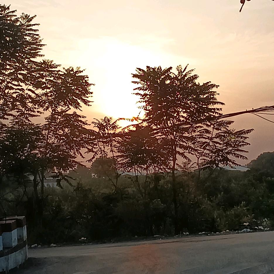 一如既往（龙）_19210751