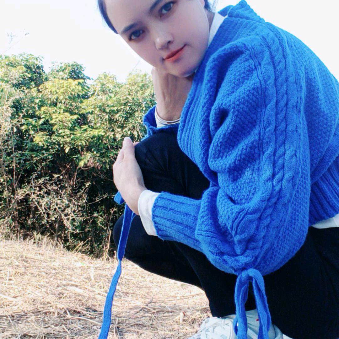 小燕子
