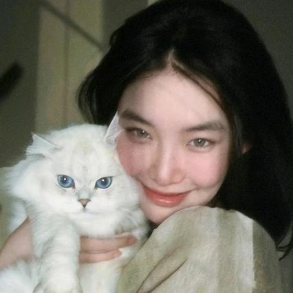 番茄你个西红柿。