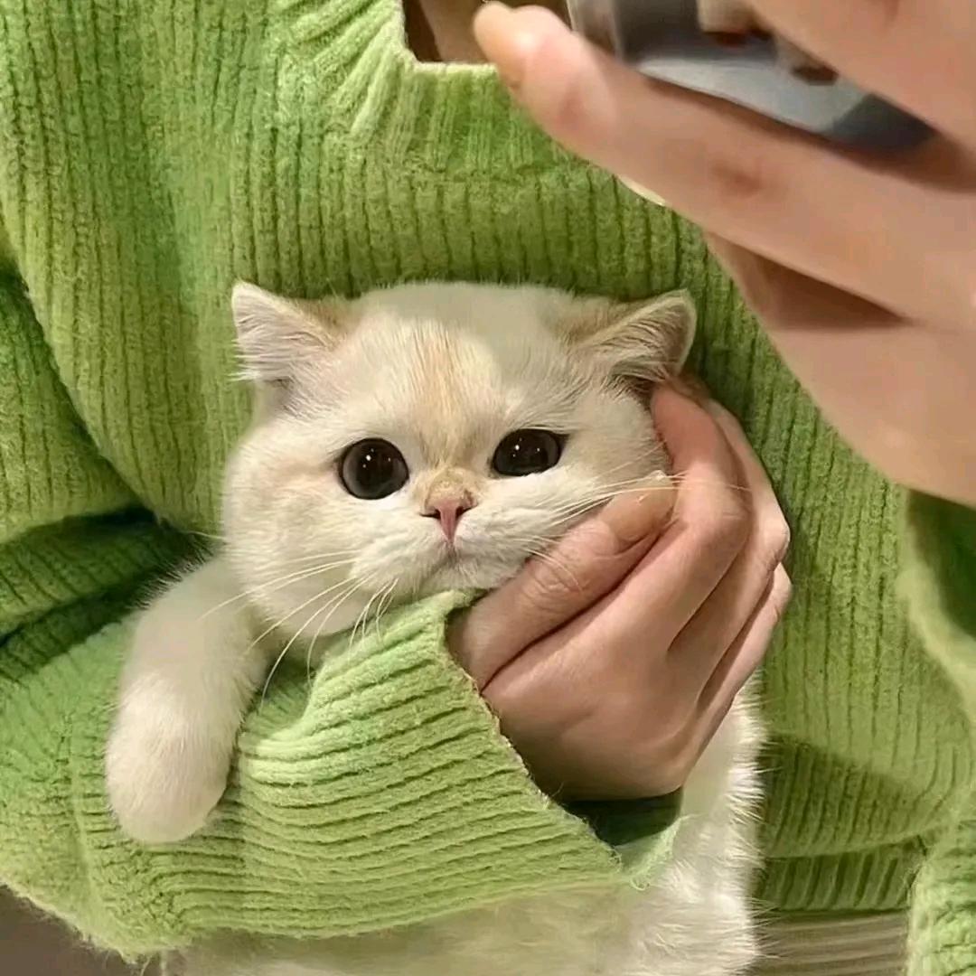 潔.