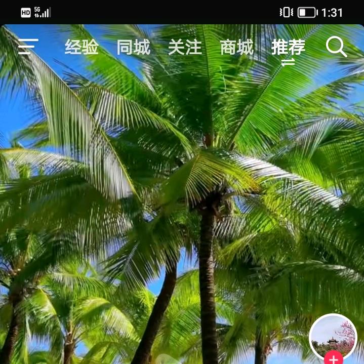 格局