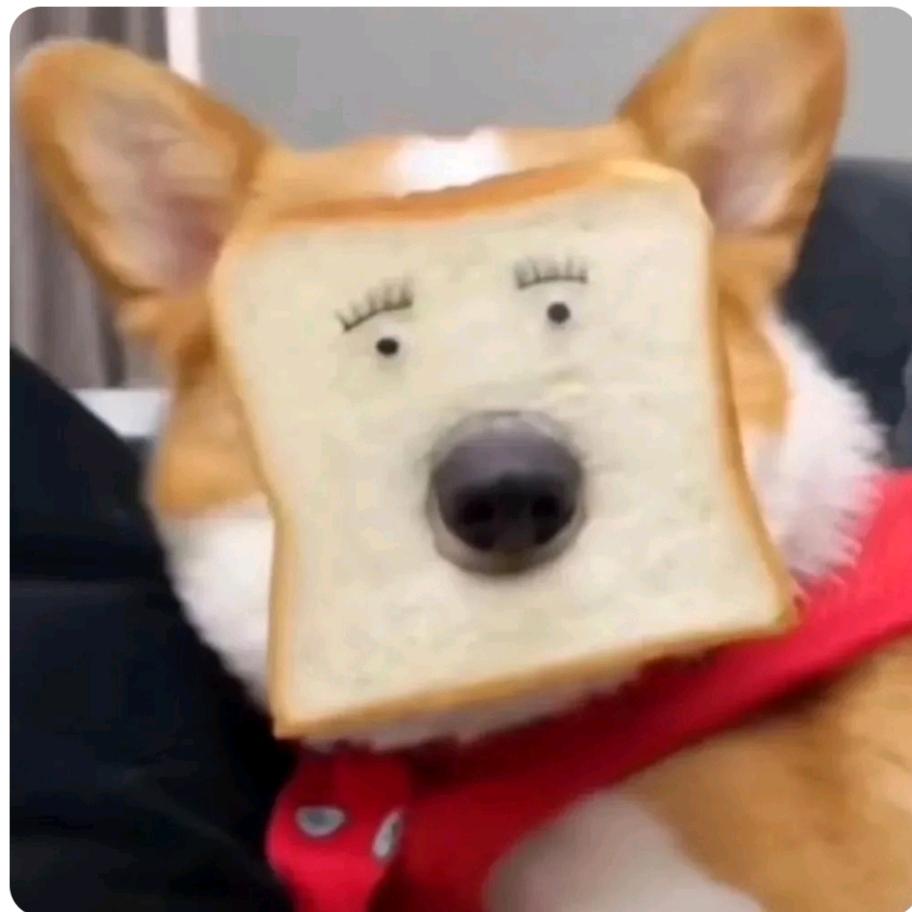 禽黑子（三角洲护航）