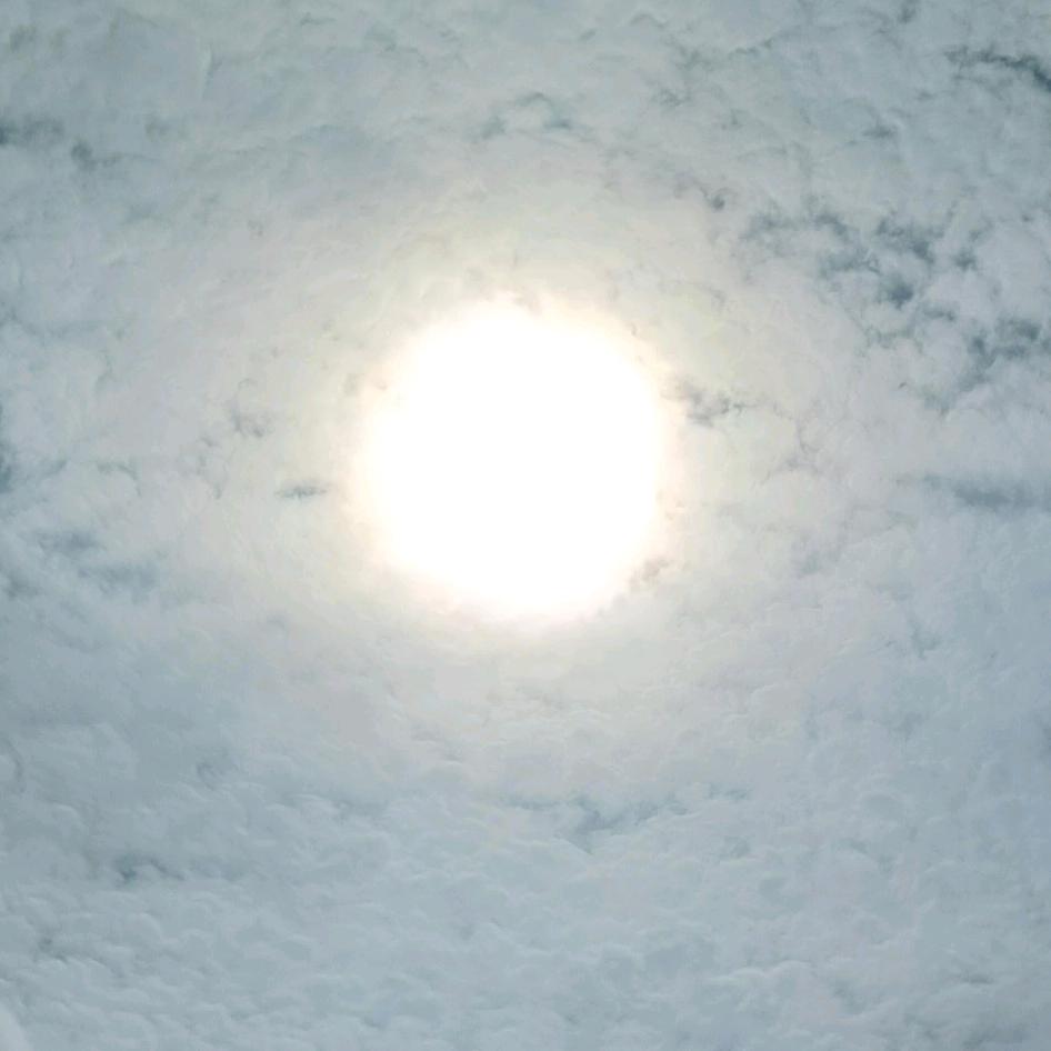 小苦瓜没我苦😌