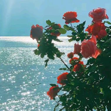 💞夏天💞