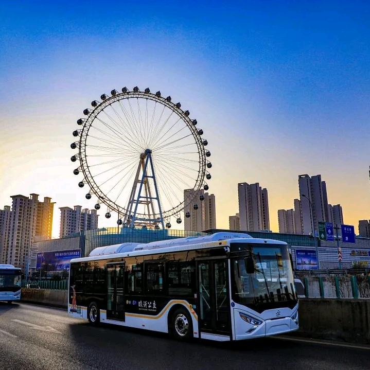 山东🔥刘大拿🔥