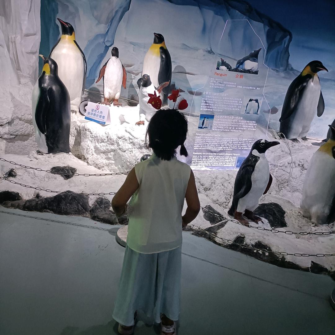 依然爱女🥰🥰，